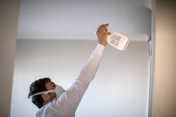 Best Attic Mold Removal  in Sleepy Hollow, CA
