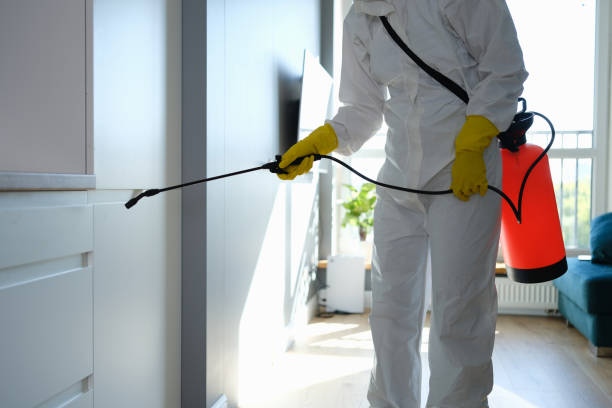 Best Professional Mold Removal  in Sleepy Hollow, CA