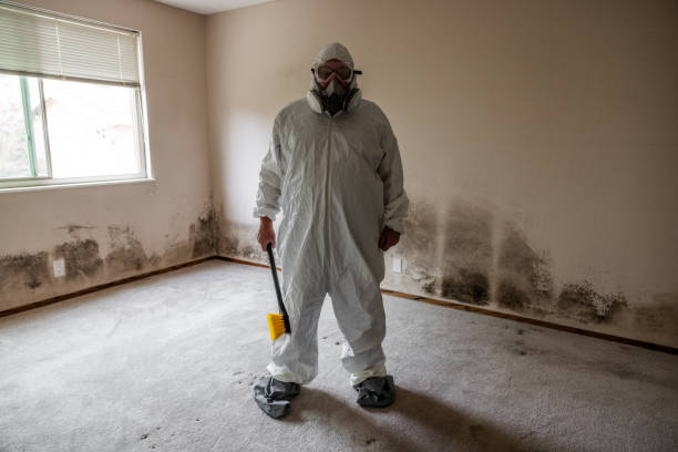 Best Mold Removal and Inspection  in Sleepy Hollow, CA